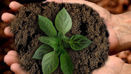 Advantage inks deal with emissions offsetting start-up