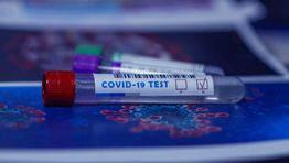 Pre-departure tests reinstated by UK government