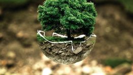 The BTN Group to launch Business Travel Sustainability Awards