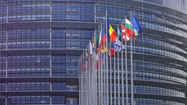 European Commission provides guidance for opening borders