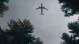 Travelogix partners with Trees4Travel