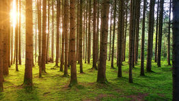 Travelogix partners with Net Zero Group to drive sustainability