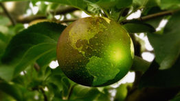 Finalists revealed for Business Travel Sustainability Awards Europe