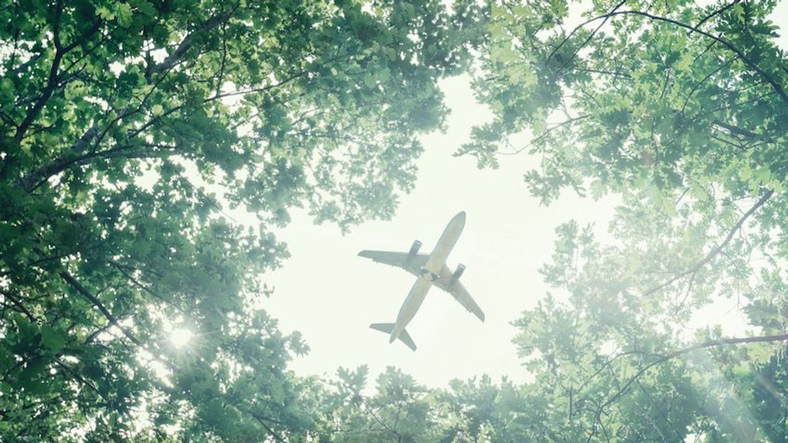 Sustainable business travel