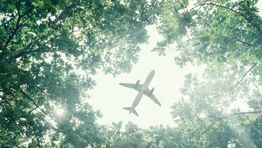 UK government urged to invest in SAF in domestic connectivity review