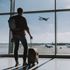 Chasing status: the hidden cost to corporate travel programmes