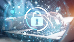 Cybersecurity: gold-standard steps for business travellers