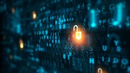 Cyber crime is on the rise