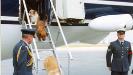 London City airport: 30 years in pictures