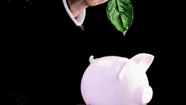 Green travel: False economy?