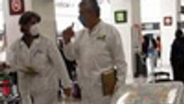 Swine flu hits pandemic level