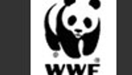 WWF urges government to cut 'excessive' flights