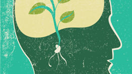 TMCs: evolutionary thinking