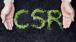 Buyer’s Guide: It’s not easy being green