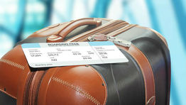 Egencia offers extra airline baggage option