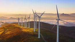 5 steps to reducing the environmental impact of business travel