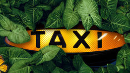 Gett makes moves to become ‘carbon neutral’