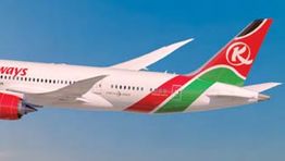 ‘Terrorism and Ebola to blame’ for Kenya Airways record losses