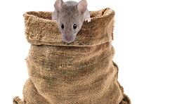 Former buyer launches MICE consultancy