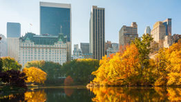 Airbnb in talks to settle New York lawsuit over rental laws