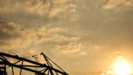 Meetings: the Olympic legacy