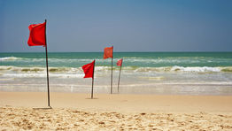 Five red flags to watch for when choosing a TMC