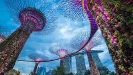 Wings to buy stake in Singapore company
