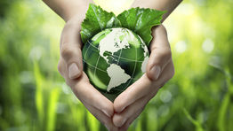 Sustainability: How to create a greener travel policy