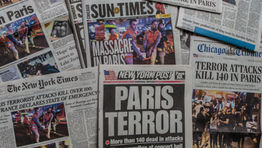 Analysis: terrorism and risk management