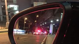 New York JFK: police give all-clear after reports of gunfire