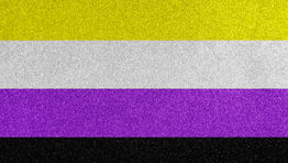 Travelport adds non-binary gender option