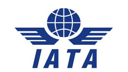 New buyer appointed to lead IATA NDC advisory board