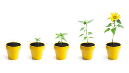 SMEs: Plan for growth
