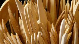 ANA to reduce single-use plastics
