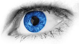 Outlook 2020: Eyes wide open