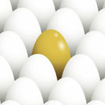 Personalisation: how it can help your programme webinar Personalisation: how it can help your programme webinar