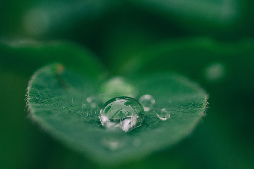 UK government announces ?15 million sustainable fuel competiton