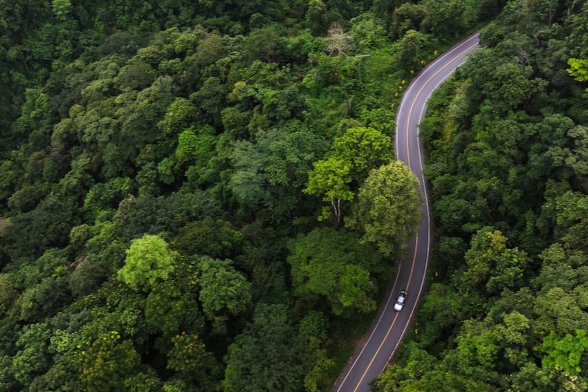 Aerieal view of car road forest AdobeStock