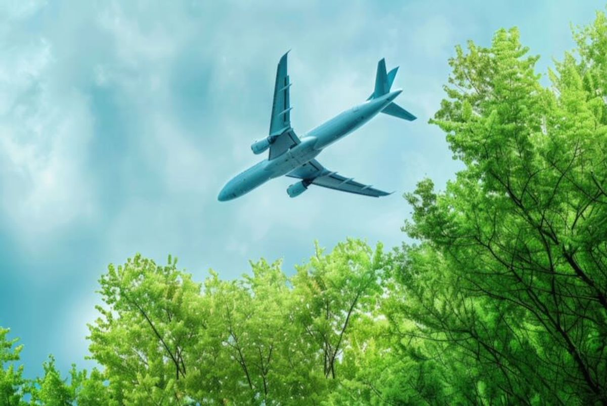 EU's Flight Emissions Label: a step towards reporting standardisation?