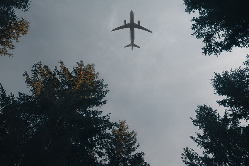Travelogix partners with Trees4Travel