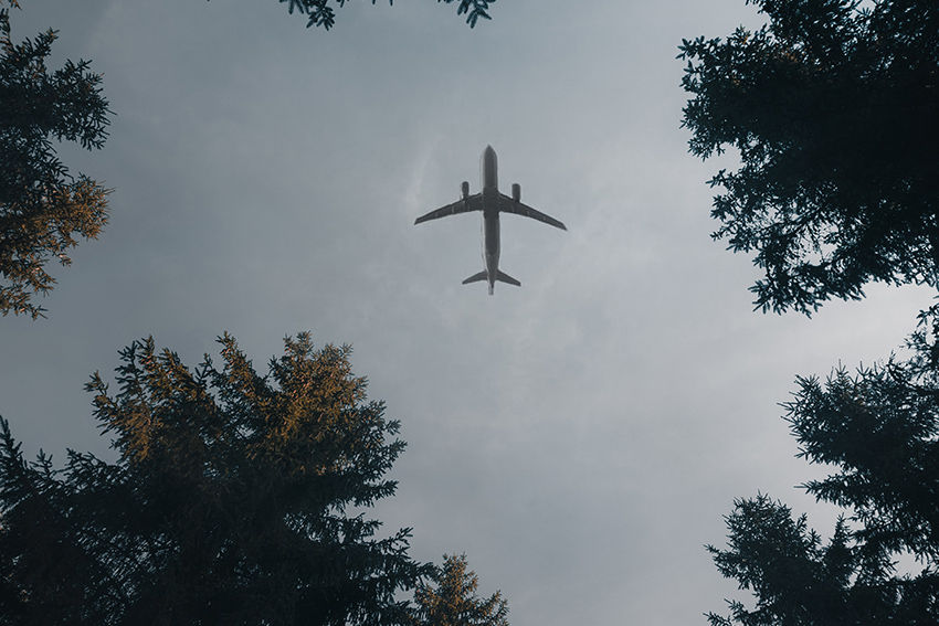 Plane above forest