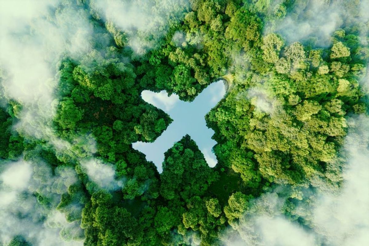 Corporates ‘still failing’ to cut flight emissions