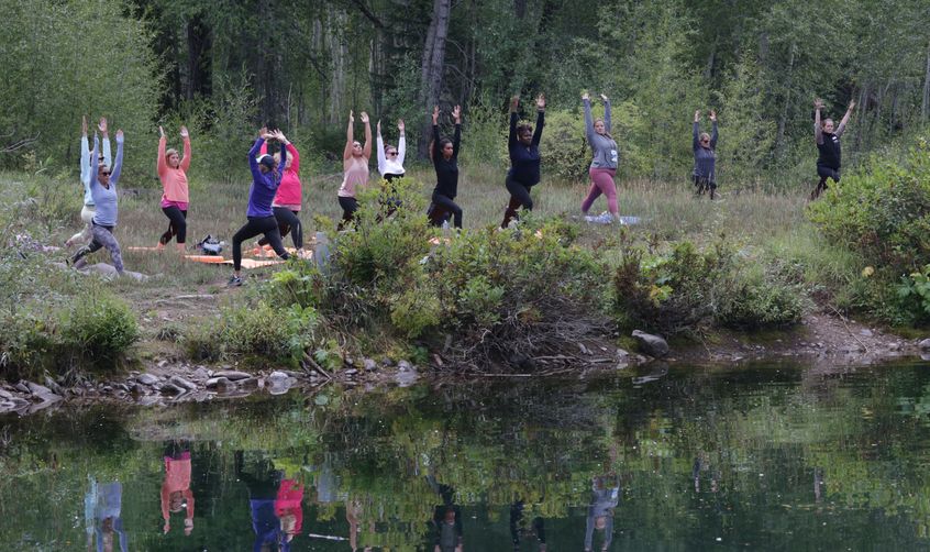 Wellness