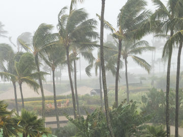 Property insurance price surge creates headwinds for owners