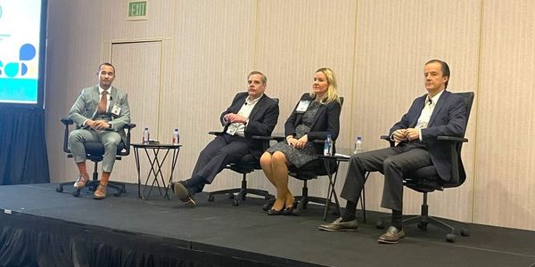 Development asset valuation panel ALIS