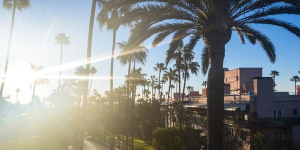 Beverly Hills hotel