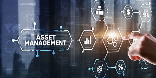 Asset Management Strategies
