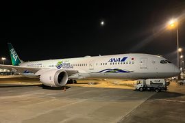 Sustainability takes flight with ANA Green Jet