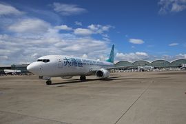 New Greater Bay flies up the radar with new airline-Amadeus partnership