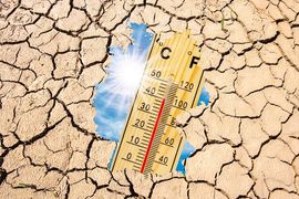 How concerned are associations about meetings sustainability?